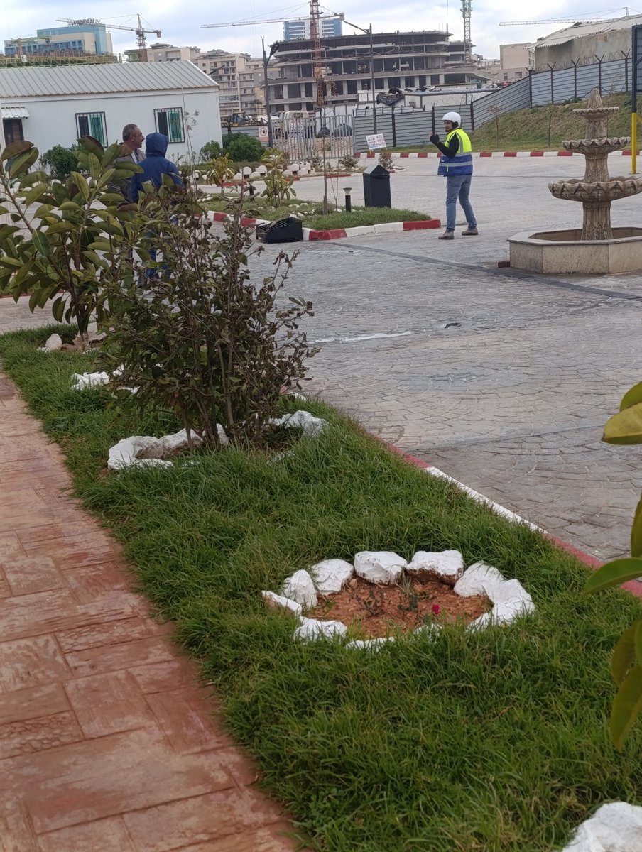 مفتش سقالات tweet media