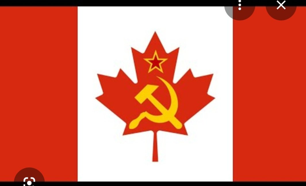 Shannon Batchilder tweet media