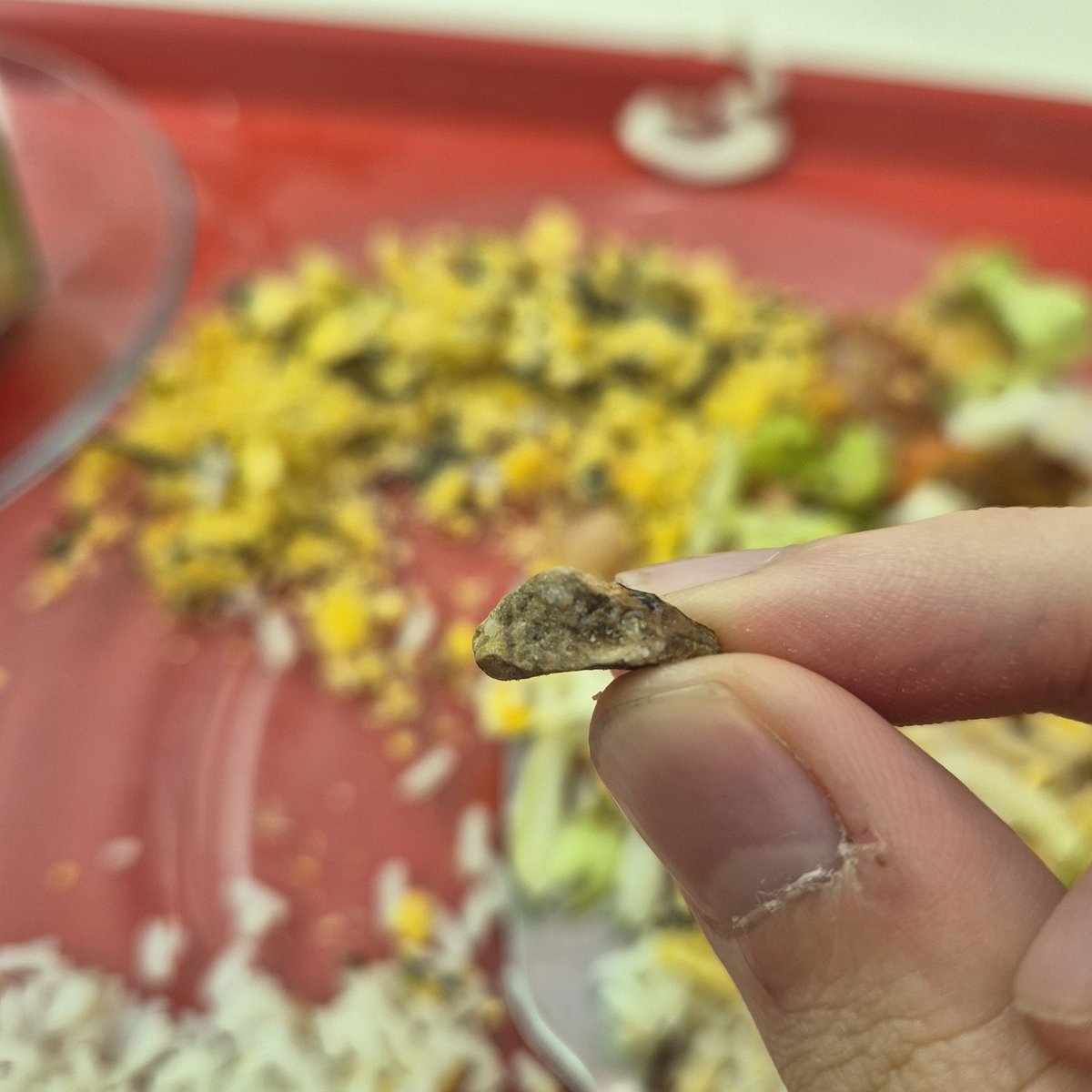 estar numa universidade pública vai muito além de pensar em tempo de formação e férias quando temos projetos de sucateamento rodando os alunos e funcionários constantemente! a comida é uma necessidade, e saber que até ela se torna uma parte desse jogo deveria revoltar qualquer um