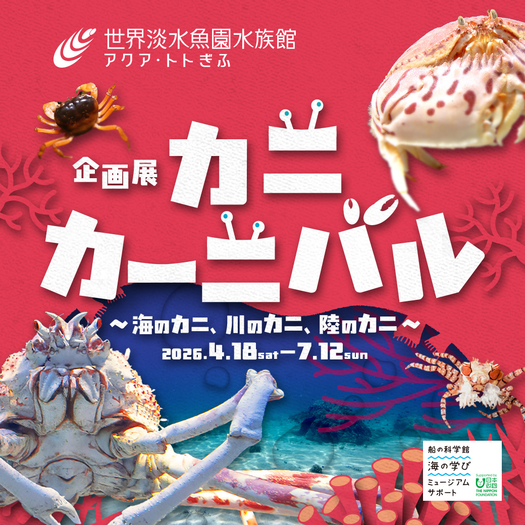 世界淡水魚園水族館　アクア・トト ぎふ tweet media