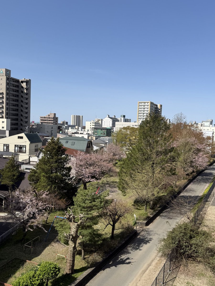 behappy210801's tweet photo. おはようございます😃
桜吹雪の通勤路を爆走して来た職員です。
裏の公園の桜が寂しい状態になって来ました😢
秋田市内の桜は今週末が最後？かと。
今年もありがとう😊

#就労継続支援B型　#パソコン https://t.co/tZcZsBMKmt