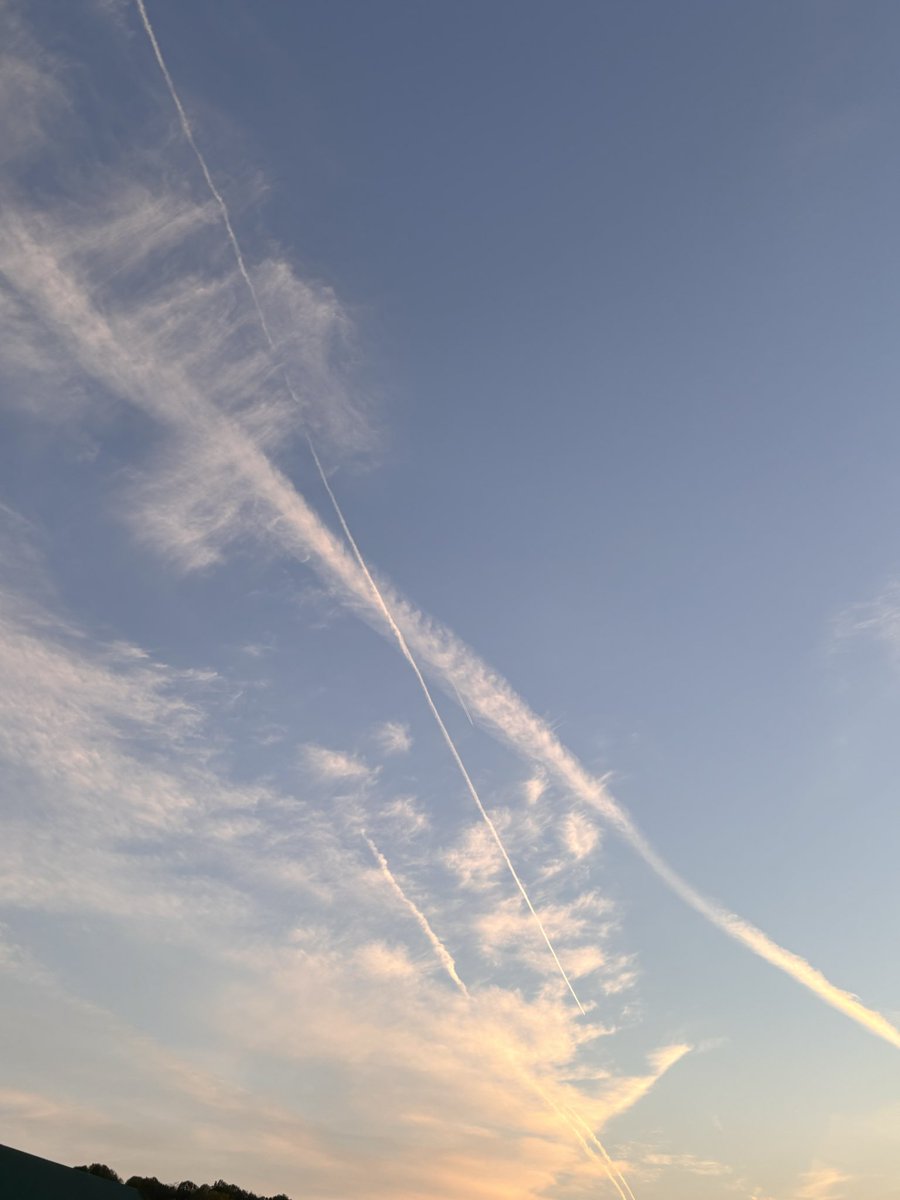 Mike Hogan tweet media