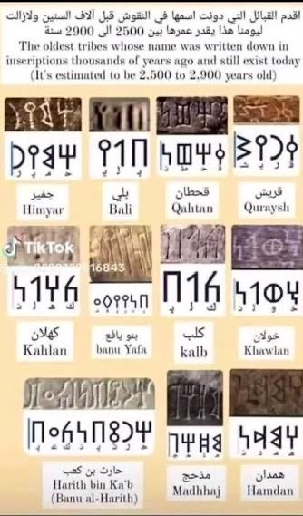 علي السنيدار tweet media