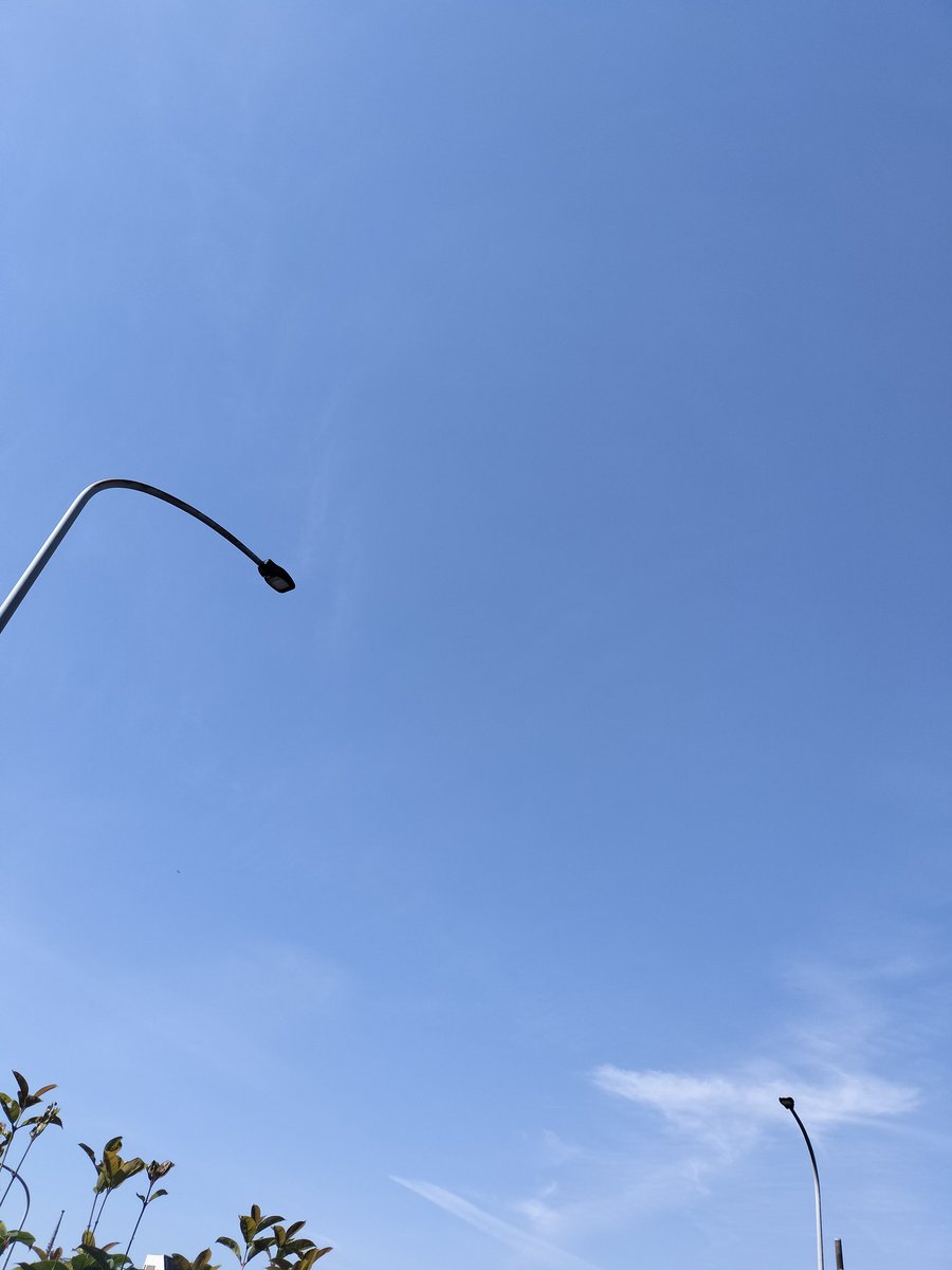 とくちゃん🎻走るバイオリニスト tweet media