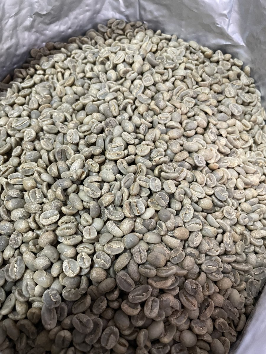 malkicoffee's tweet photo. おはようございます❣️

次の【数量限定スペシャルティ珈琲豆】として、ニカラグアから届きました♪

エル・ナランホ農園で栽培された、パライネマという品種のスペシャルティコーヒーです☝️

なるべく早く焙煎して、皆さんに飲んでもらいたいですね〜😊

本日もよろしくお願い致します🙇‍♂️ https://t.co/Uu8t4u2rUs