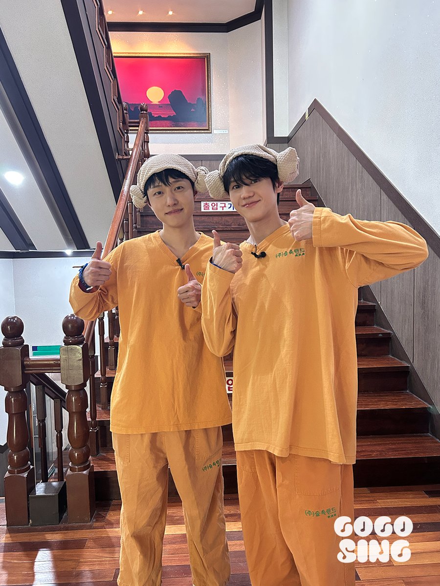 고고씽 GOGOSING tweet media