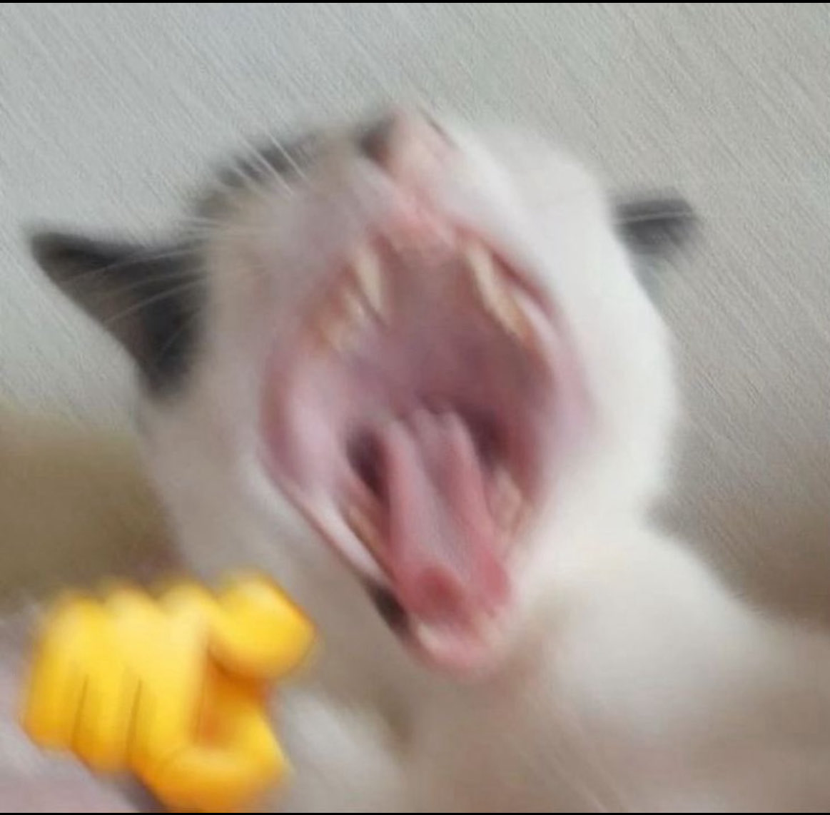 ‏ 🇰🇼 𝓐 tweet media