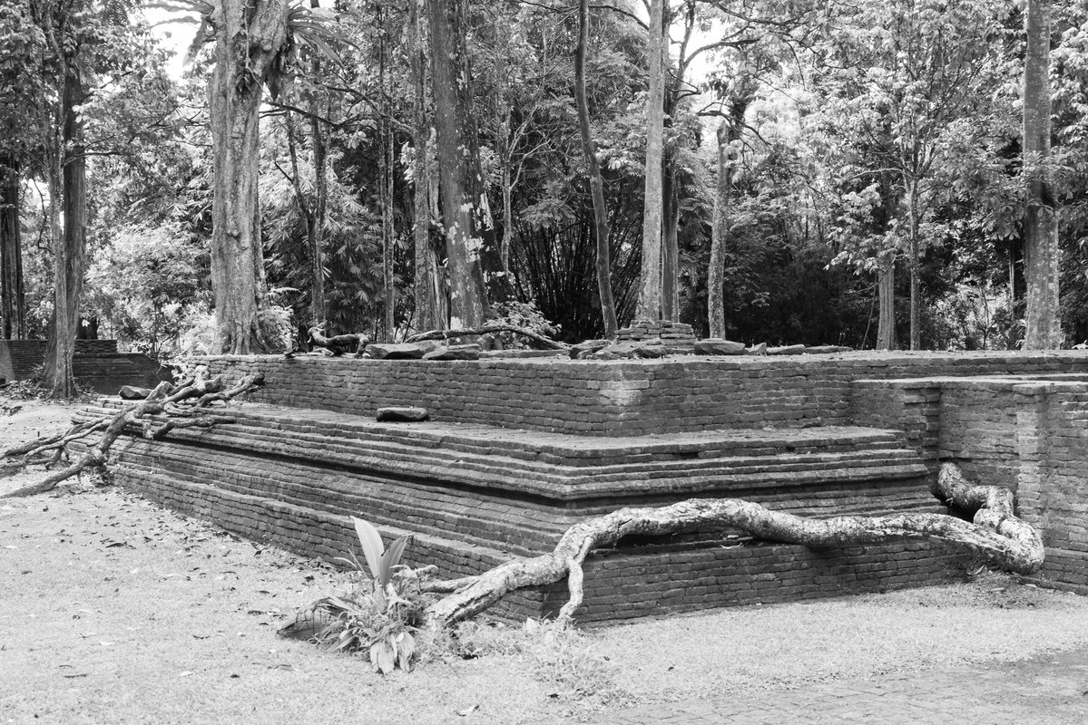 Herald Van Der Linde tweet media