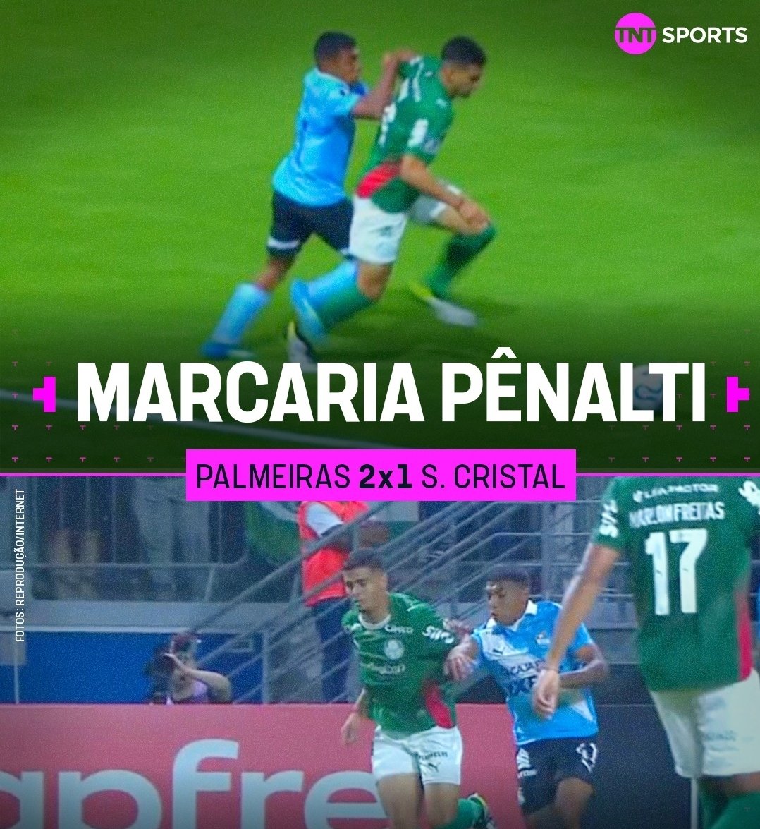 Palmeiras memes🐷💚 tweet media