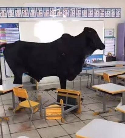 spencer do icarly tweet media