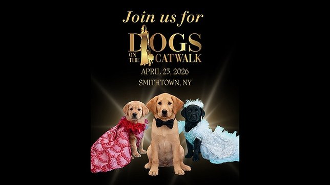 Long Island tweet media