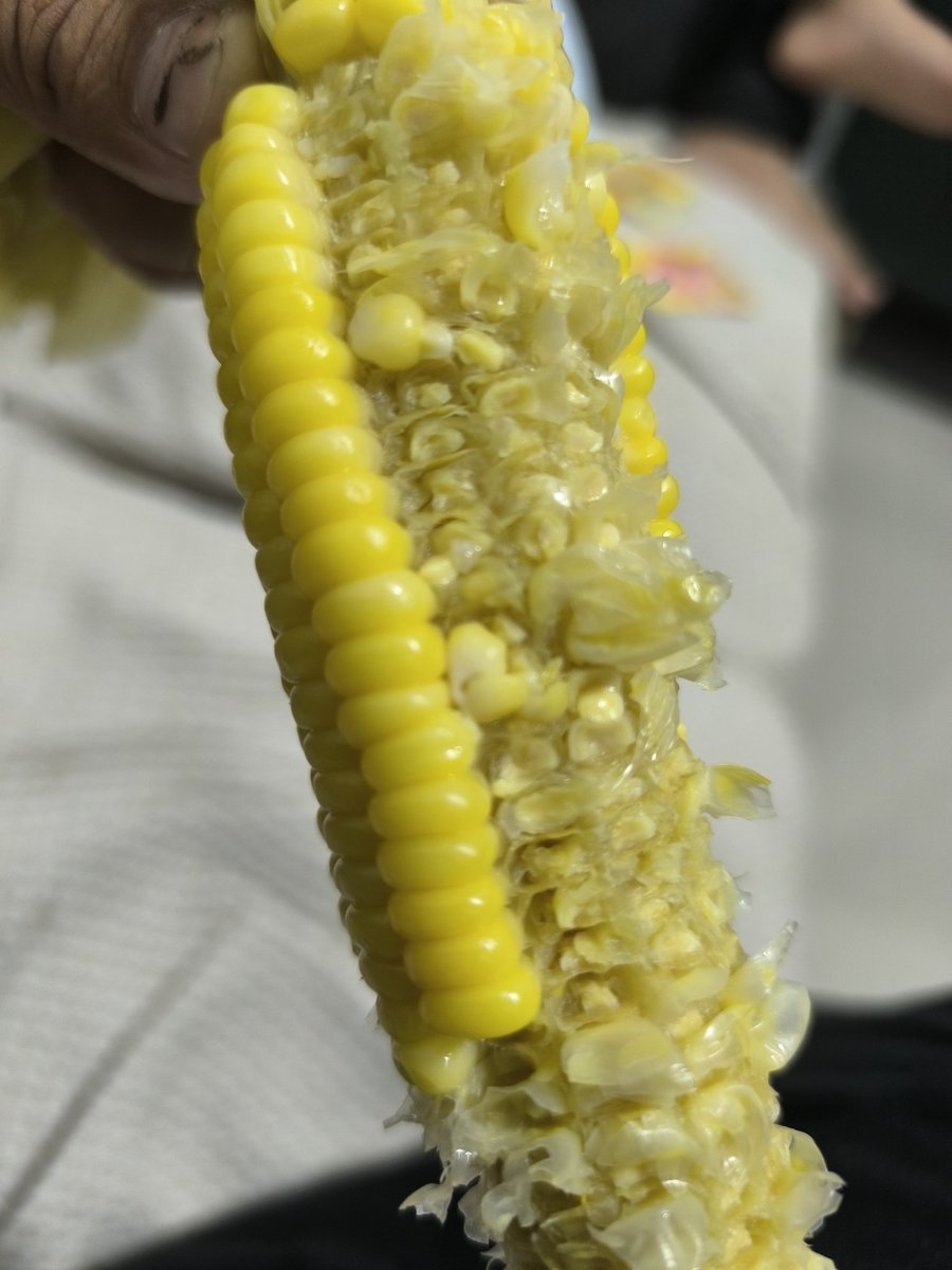 RajaNggang's tweet image. Selamat Pagi Semua.
Pagi ini kita sarapan jagung 🌽 rebus 🤤

#mbg