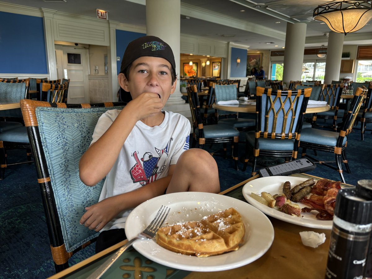 Layla Collins tweet media