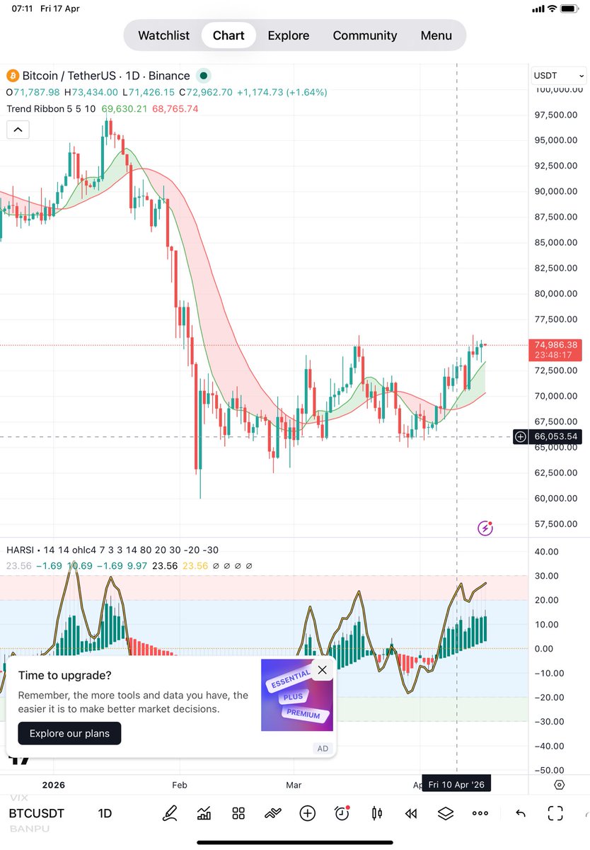 bunnytrader2 tweet media