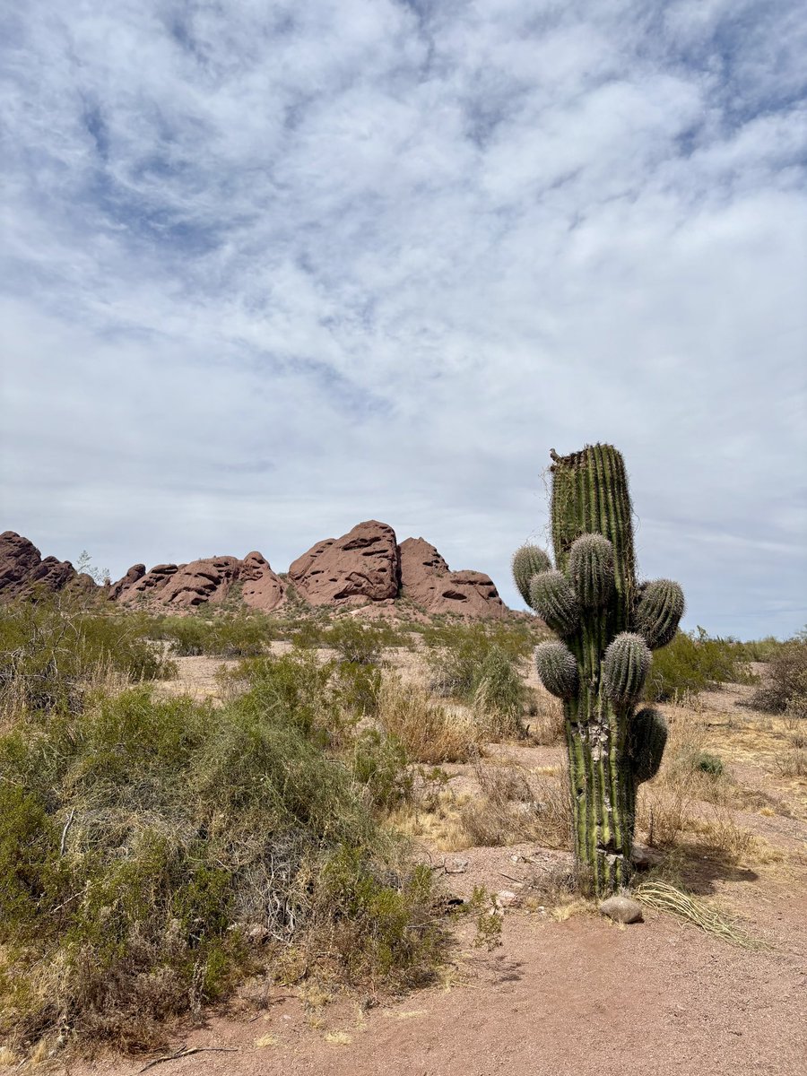 Iron Sharpens Iron Trading tweet media