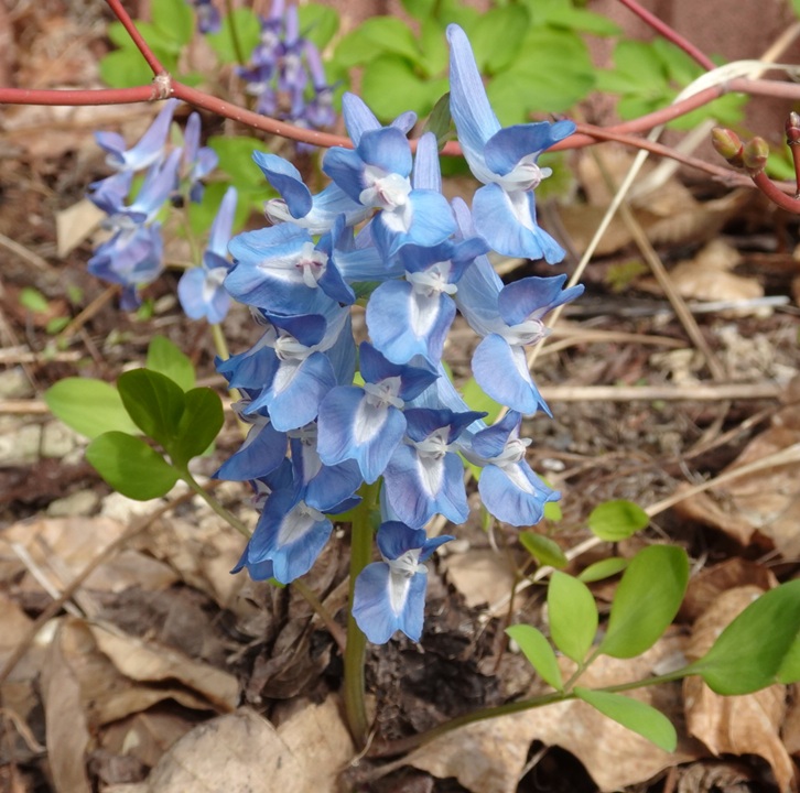 ばちがみ tweet media