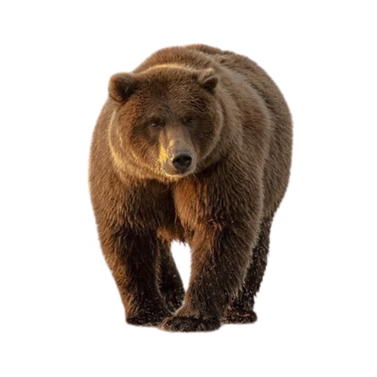 Marʝo ๋࣭𖣂ᵎᵎ࣪ sevEN- tweet media