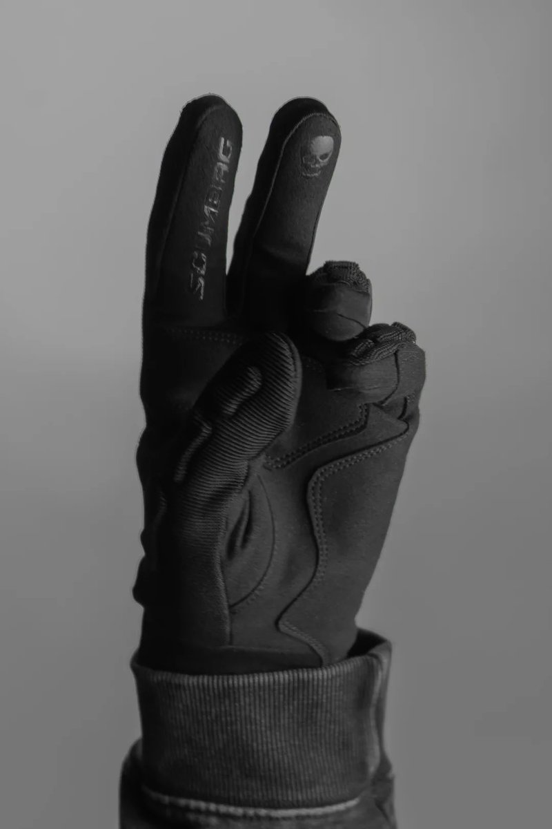 Alphamotif tweet media