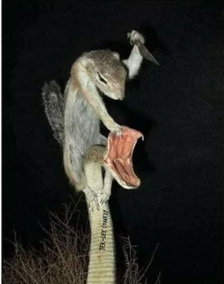 Synthetic Human tweet media