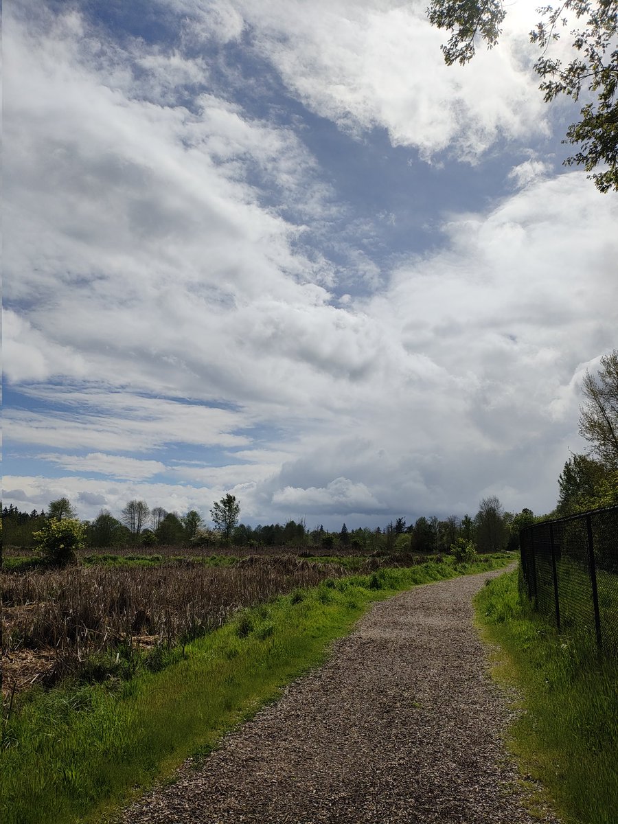 AmandaNicole487's tweet image. What a great day in 📍 Albany, Oregon! Visited the historic @AlbanyCarousel &amp;amp; museum &amp;amp; did some hiking in #TalkingWaterGardens, a wildlife sanctuary specifically built for natural water treatment &amp;amp; sustainability. So cool! #NatureReset #GetOutdoors #NaturePhotography