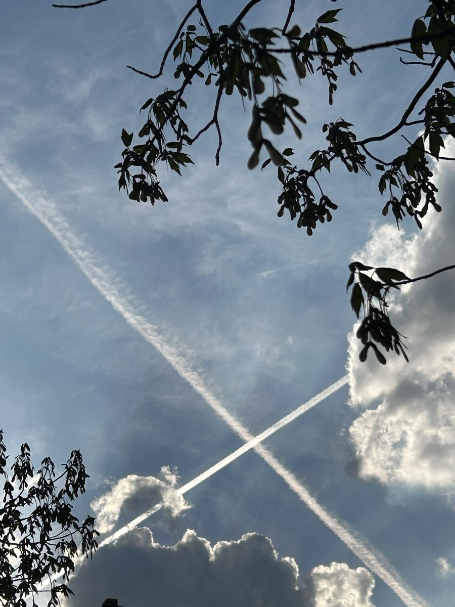 Bambi Clounded tweet media