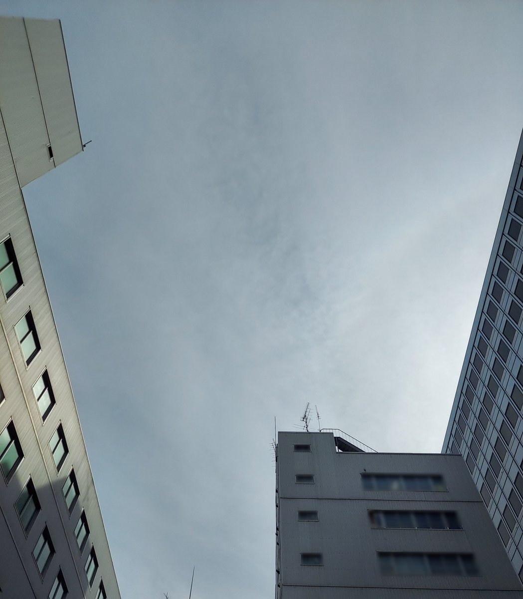 【公式】㈱フレンセル　NS事業部 tweet media