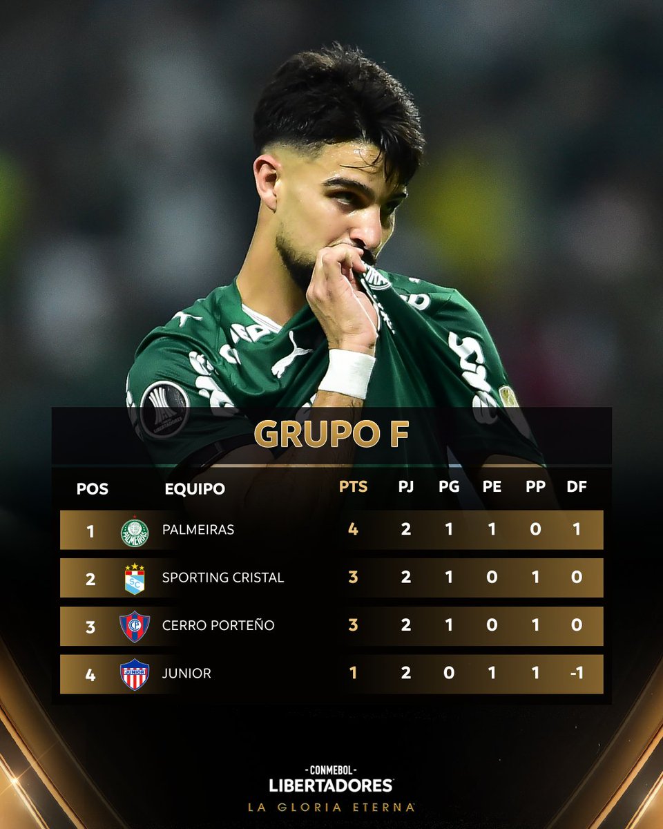 CONMEBOL Libertadores tweet media