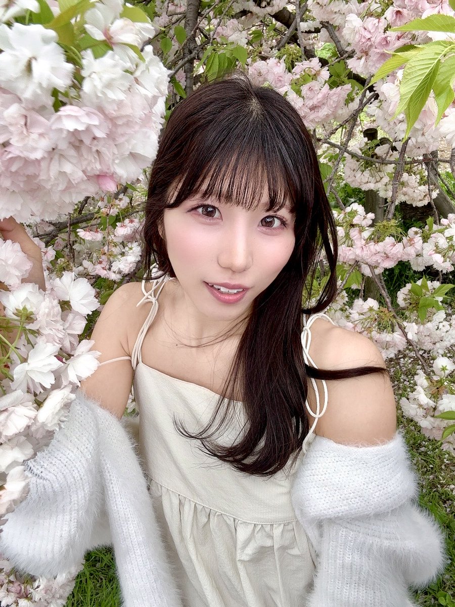 櫻井すず🌸スリジエ tweet media