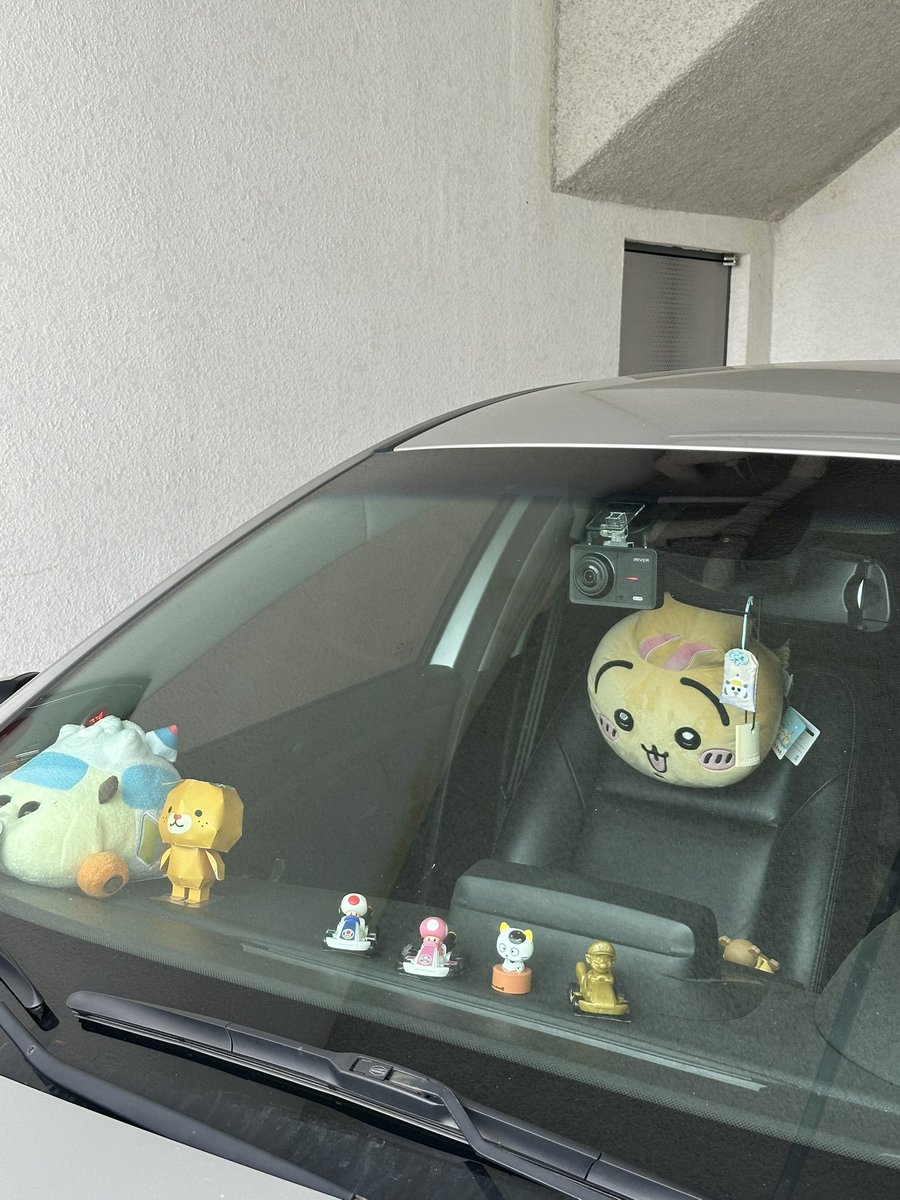 밤곰이 tweet media