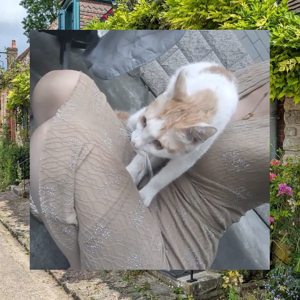 Stack Patel tweet media