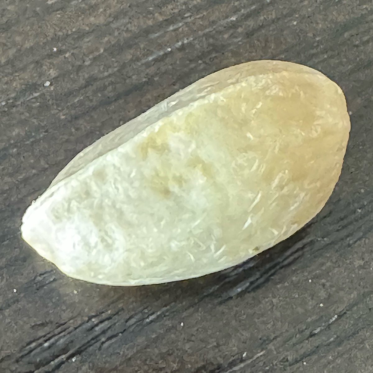 ㄘやꩢ┝ﾞ。 tweet media