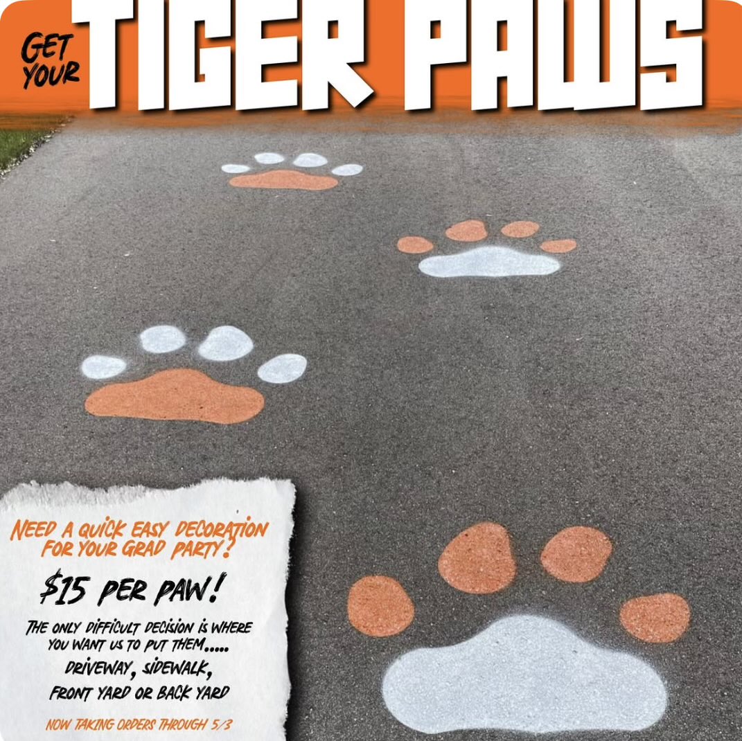 Lady Tigers tweet media
