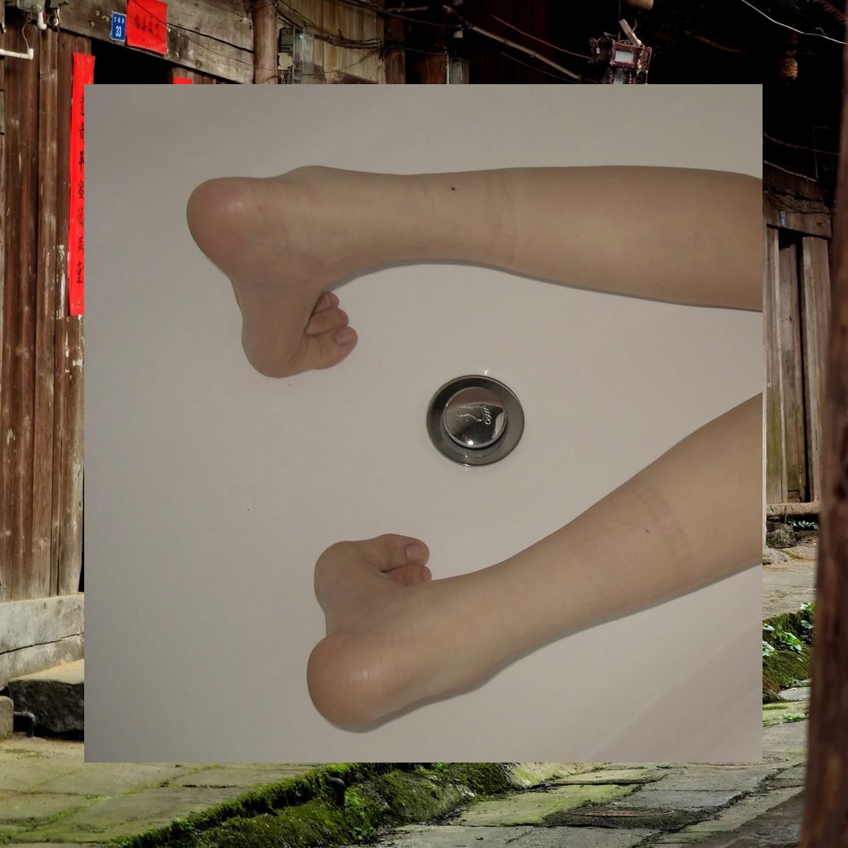 Timothy Fisher tweet media