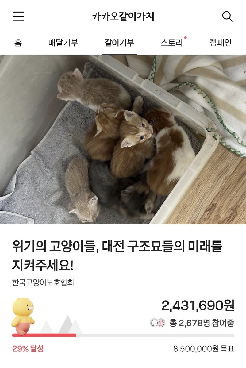 👾 집사쪼 tweet media