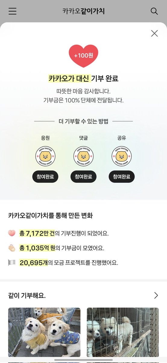 👾 집사쪼 tweet media