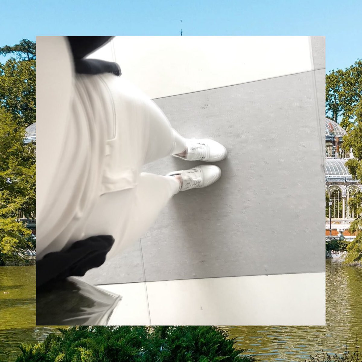 Mark Colley tweet media