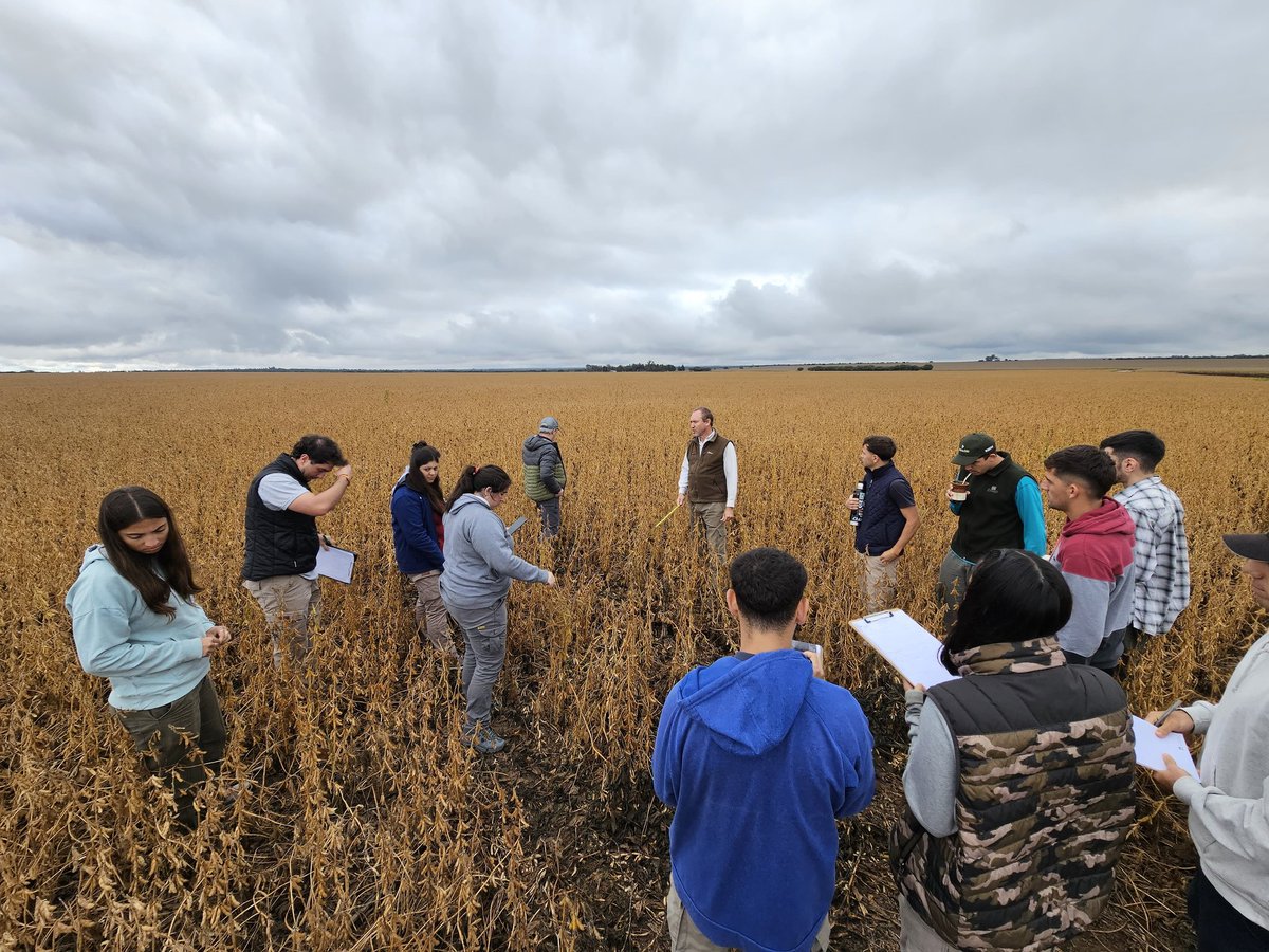 nicorioscenteno's tweet photo. La clásica visita de @mgbongio y los estudiantes de @Cy0_2025.
Estudiantes de agronomía de la Universidad Nacional de San Luis. 
Pudimos ver maíz y soja esperando cosecha, rolado de girasol, centeno de cobertura y esparcido de estiércol. https://t.co/RQoWcNPrJU