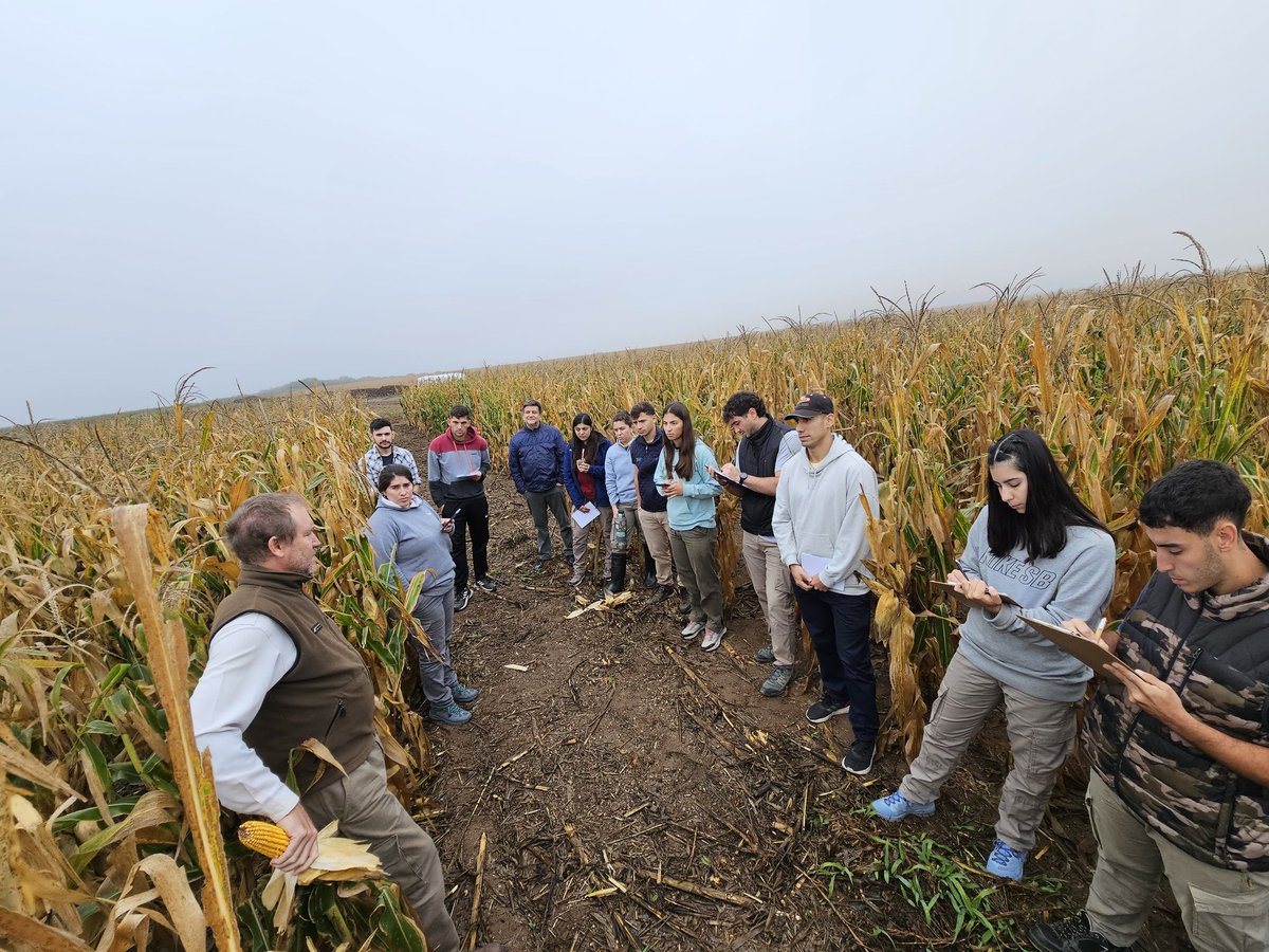 nicorioscenteno's tweet photo. La clásica visita de @mgbongio y los estudiantes de @Cy0_2025.
Estudiantes de agronomía de la Universidad Nacional de San Luis. 
Pudimos ver maíz y soja esperando cosecha, rolado de girasol, centeno de cobertura y esparcido de estiércol. https://t.co/RQoWcNPrJU