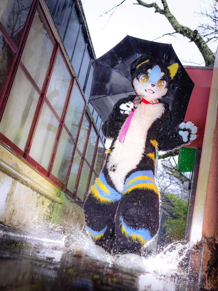 白ちょこ▷ちるこん tweet media