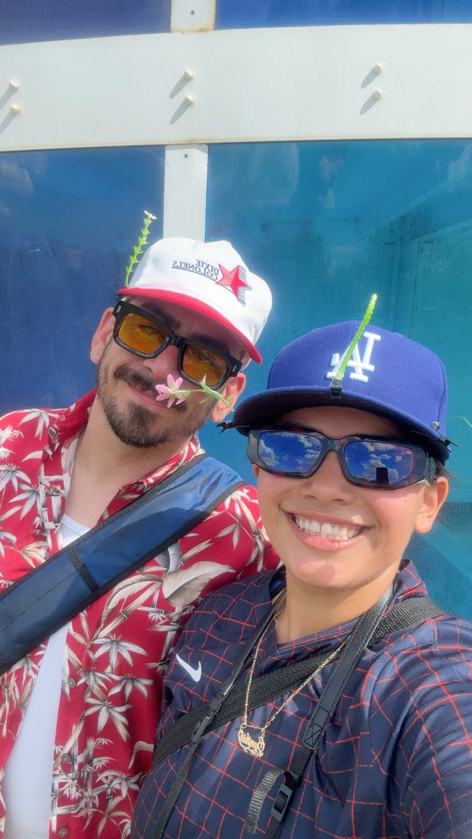 b r a n d o n tweet media