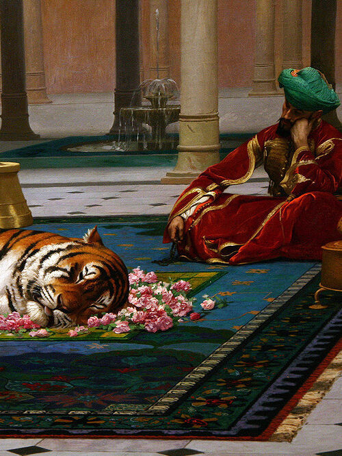 MENA Visuals tweet media