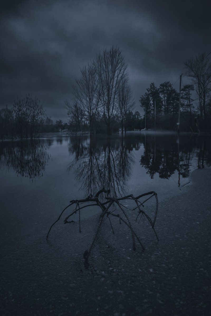 Loki Highlock tweet media