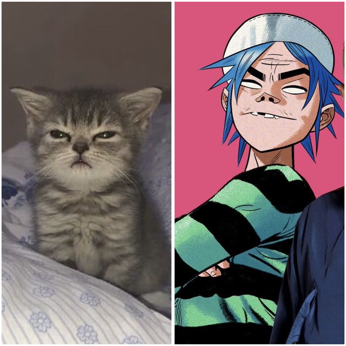 jj ⛰️ tweet media