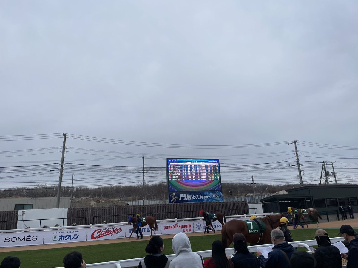 門別牧場 tweet media