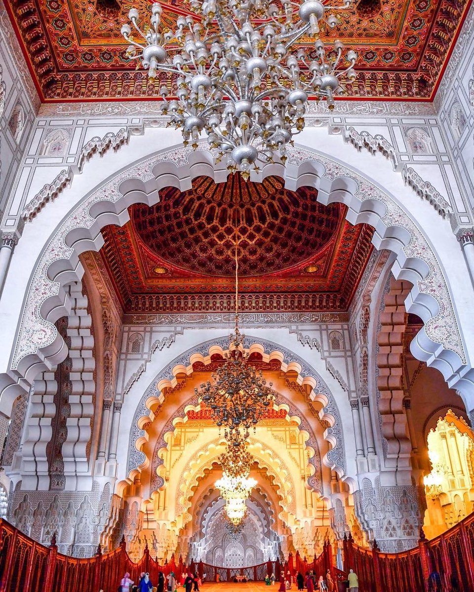 Hamza Mustafa tweet media