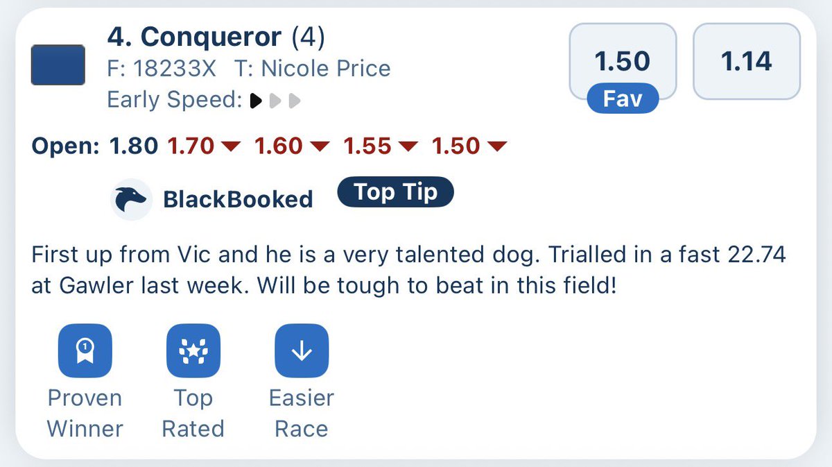 JustTheTipAUS's tweet photo. Our boy is making his long awaited return tonight in the last at Murray Bridge

You know the drill like/comment/repost/whatever and if he wins I’ll give away 
1 x FREE AFL season sub to the DubClub
10 x FREE month subs

50 likes & I’ll change the password to the AFL prop tool to Conqueror this week if he wins