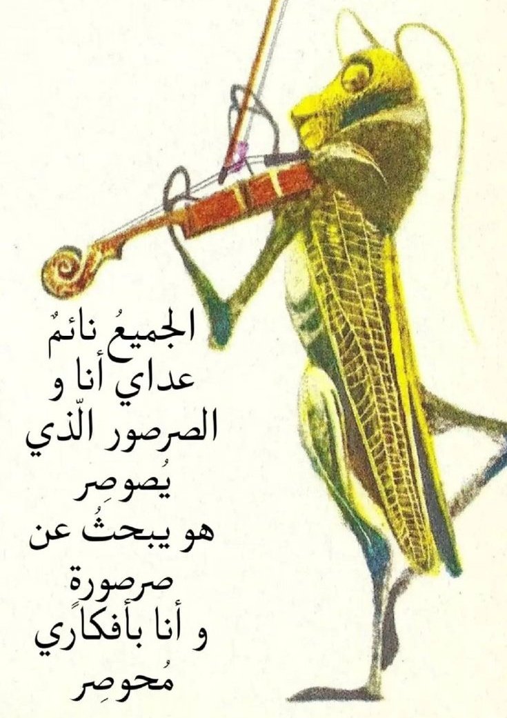 أورورا ⋆˚꩜｡ tweet media