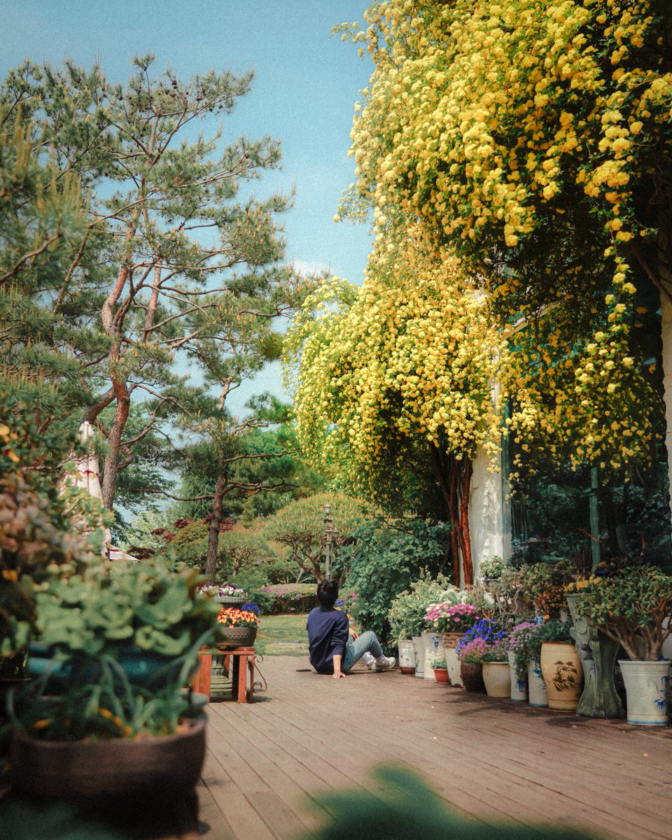 Visita Corea tweet media