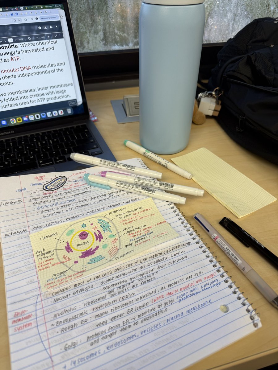 디지털 시대에도 절대 아날로그만 추구