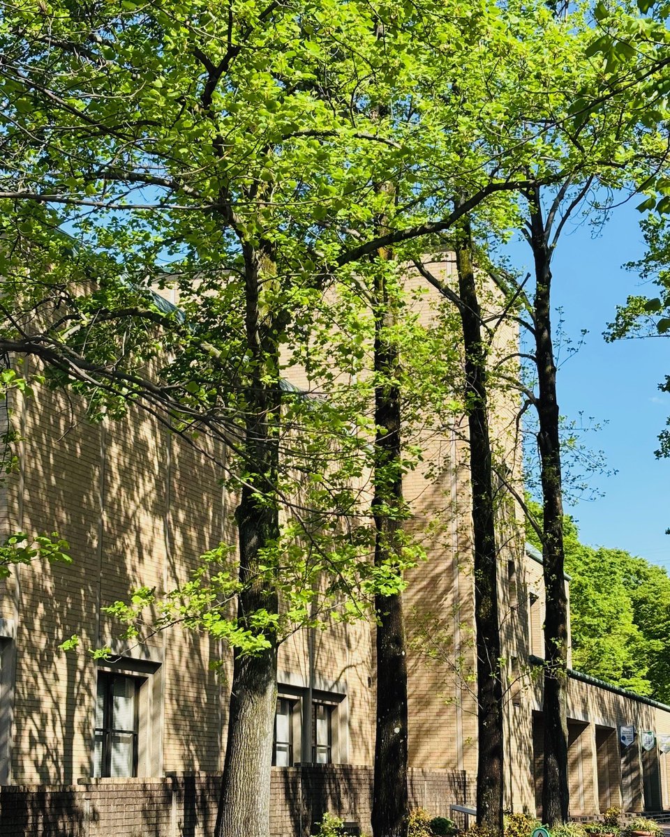 4月19日
町田市立国際版画美術館は、
開館記念日を迎えました。
 
1987年の開館から、
変わらずここにある建物と、
少しずつ育ってきたまわりの風景。
 
これからも、
版画作品とともに、
豊かな時間をお届けしていきます。
 
#町田市立国際版画美術館 #開館記念日 #芹ヶ谷公園